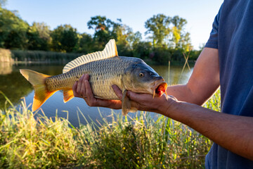 Man Holding Large Freshly Caught Common Carp with Open Mouth by Lake © Olha Semeniv