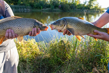 Family Members Showing Two Large Carp Caught During Fishing Trip © Olha Semeniv