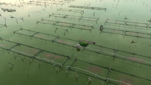 Aerial view of fish farming cages and nets floating on the calm waters of Rowo Jombor in Bayat, Central Java, Indonesia.