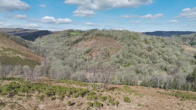Farms and Woods over East Dartmoor National Nature Reserve from a drone, Yarner Wood, Lustleigh, Newton Abbot, Devon, England, United Kingdom