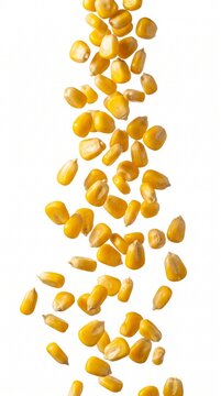 Golden corn kernels falling in a vertical stream against a bright, clean white background