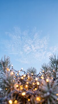Blurred warm yellow fairy lights wrapped around frost covered pine branches against a pale blue sky, magical winter holiday background