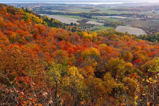 Colorful autumn forest canopy covering hills above valley. Gatineau Park in Quebec, Canada.