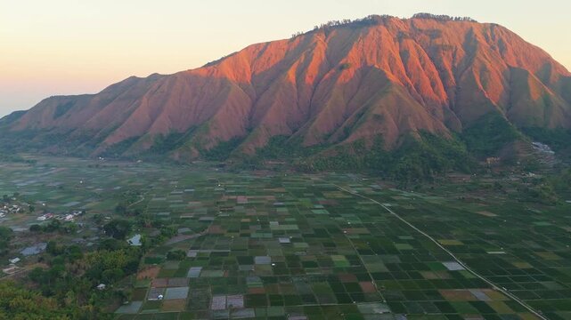 Aerial view of Bukit Selong overlooking the patchwork of green rice fields in the valley at sunrise in Sembalun, West Nusa Tenggara, Indonesia.