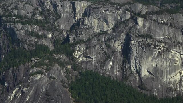 Close-up of the sheer, textured granite cliff walls of the Stawamus Chief monolith in Squamish, British Columbia. Dark stone cracks and patches of green pine forest cover the steep mountain.