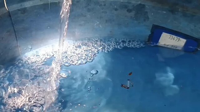Aliran air dari selang ke ember biru yang terpantul cahaya matahari 