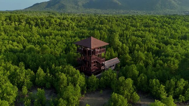 Aerial view of the wooden mangrove forest observation tower surrounded by dense green trees in the Kemujan area of Karimunjawa, Central Java, Indonesia.