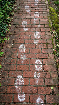 Footprints on a Brick Garden Path Journey Steps Outdoors Outdoors Lifestyle