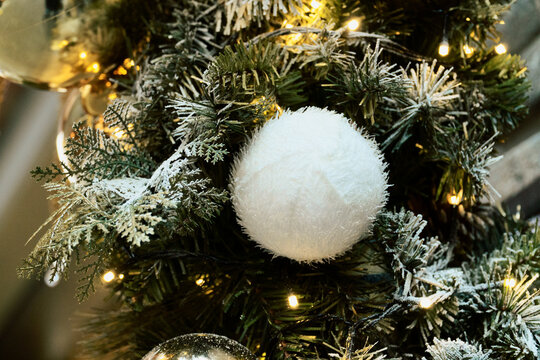 Fluffy White Christmas Ornament Hangs Among Frosted Evergreen Branches