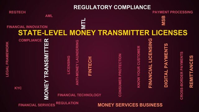 State-Level Money Transmitter Licenses Word Cloud