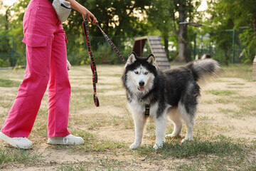 Pet ownership and companionship, woman walking a siberian husky dog in a park for outdoor exercise and active lifestyle with a loyal canine friend © Pixel-Shot