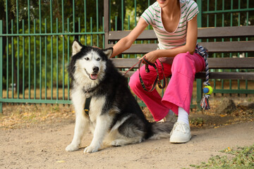 Pet ownership and companionship, woman sitting on a park bench with her husky dog, animal care and outdoor recreation in a public green space © Pixel-Shot