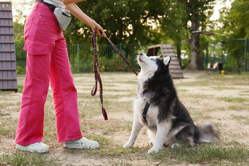 Dog training and obedience, woman holding leash with husky in park for pet behavior education and positive reinforcement in outdoor agility course © Pixel-Shot