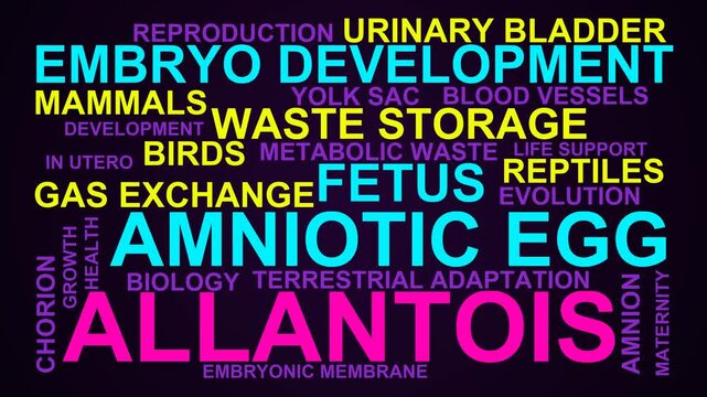Allantois Word Cloud