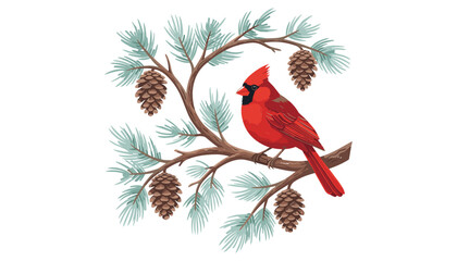 Northern red cardinal bird sitting on pine branch. Cone, needle, winter, wildlife, christmas, nature, evergreen, foliage, design. © BULU