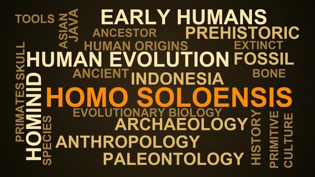 Homo Soloensis Word Cloud