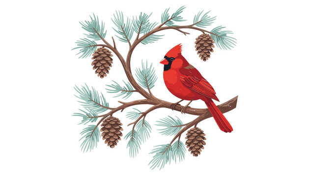 Northern red cardinal bird sitting on pine branch. Cone, needle, winter, wildlife, christmas, nature, evergreen, foliage, design.
