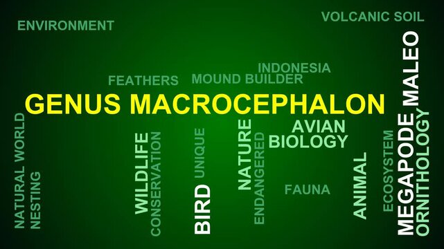 Genus Macrocephalon Word Cloud