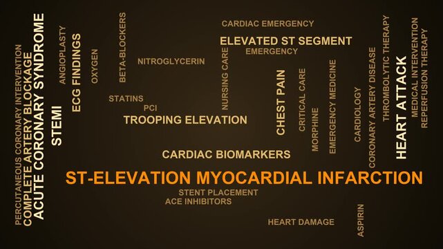 St Elevation Myocardial Infarction Word Cloud