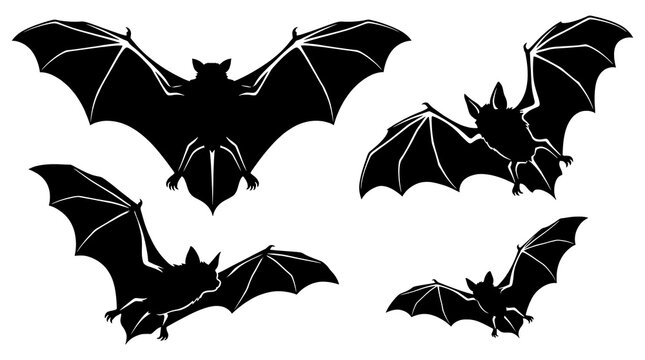 Flying bat silhouettes collection isolated on white background, halloween vector elements set