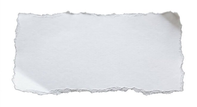 Bout de papier bords d&eacute;chir&eacute;s 