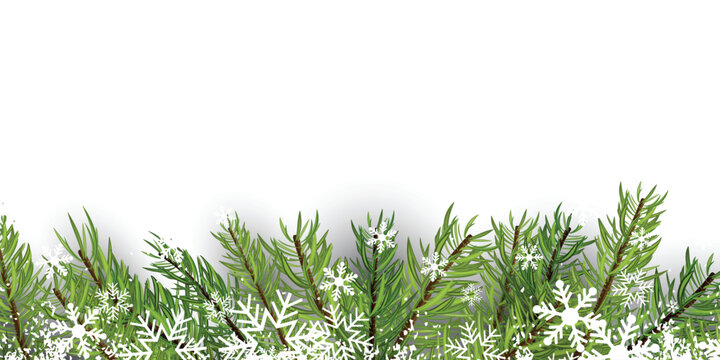 A vibrant lush green forest edge features a variety of tree types with bright sunlight filtering through