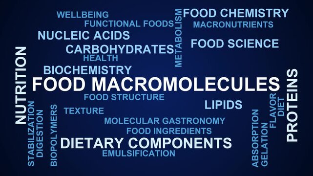 Food Macromolecules Word Cloud