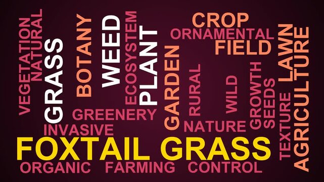 Foxtail Grass Word Cloud