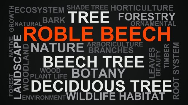 Roble Beech Word Cloud