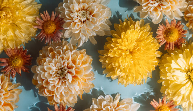 Yellow and cream chrysanthemums floating beside small orange flowers with bright water reflections.