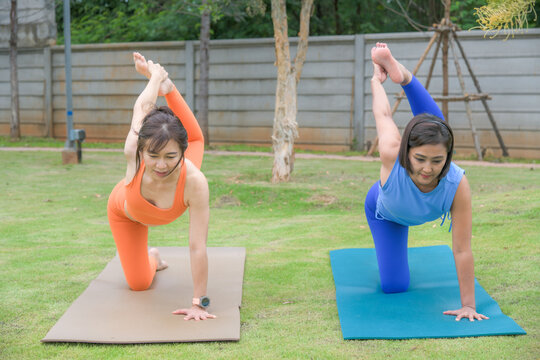 Two women practicing extended side angle yoga pose on mats in a peaceful outdoor garden environment.