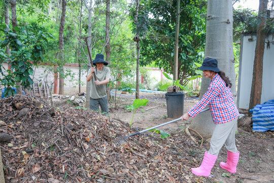 Asian couple raking and cleaning dry fallen leaves in backyard garden