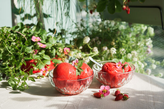 Close-up of homemade strawberry sorbet served in glass bowls with fresh mint, flowers and small strawberries on a sunlit table in a lush balcony garden. Refreshing homemade summer dessert