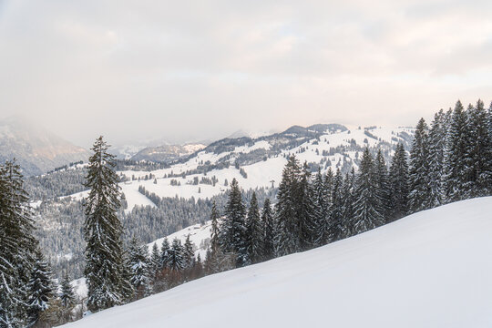 View of Jaun Pass in winter with snow-covered slopes, dense pine forests, and distant mountain peaks under a soft overcast sky in Boltigen, Canton of Bern, Switzerland.