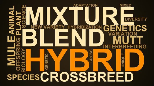 Hybrid Word Cloud