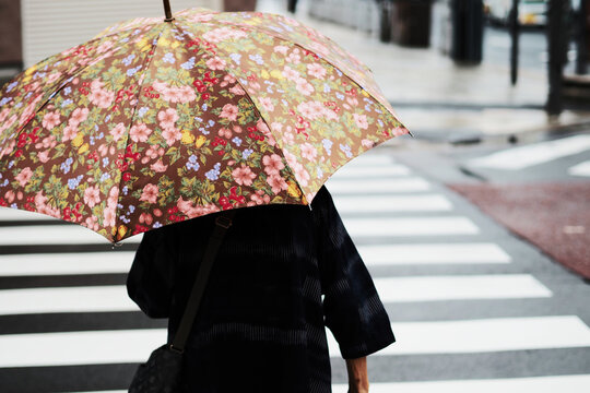 雨の日に横断歩道を渡る高齢者の後ろ姿