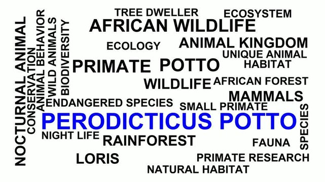 Perodicticus Potto Word Cloud