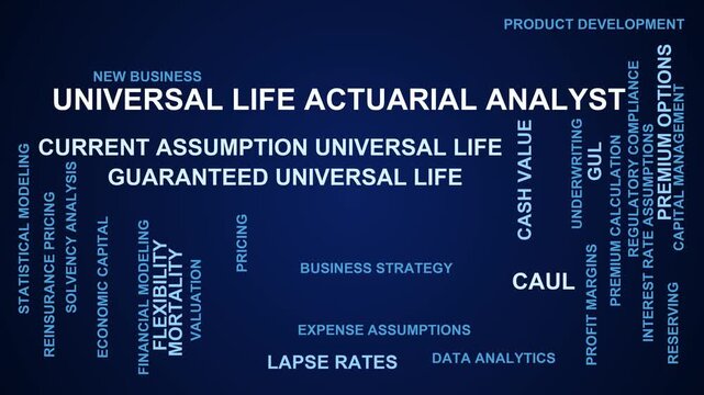 Universal Life Actuarial Analyst Word Cloud