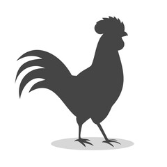Silhouette of a rooster icon with shadow © sljubisa