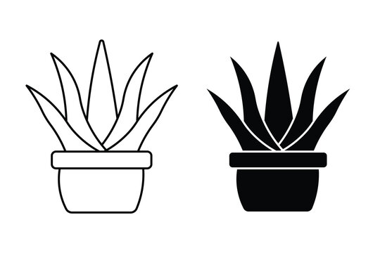 Vector illustration set of aloe vera plant in pots, outline and solid silhouette design