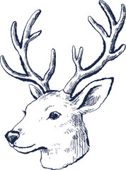Hand Drawn Reindeer Head with Antlers © 예지 최