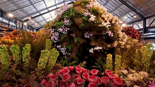 Impressive fynbos flower biome and waterfall display and exhibition in a large shed in South Africa for the Chelsea flower show in Stanford South Africa with King proteas and many other flows