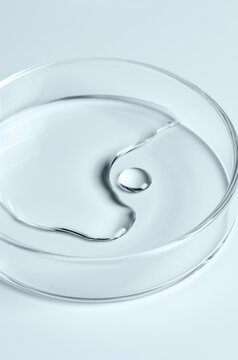 Testing a transparent cosmetic product in a Petri dish.