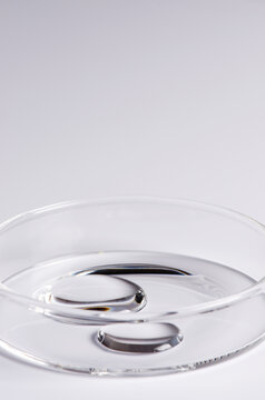 Testing a transparent cosmetic product in a Petri dish. Copy space