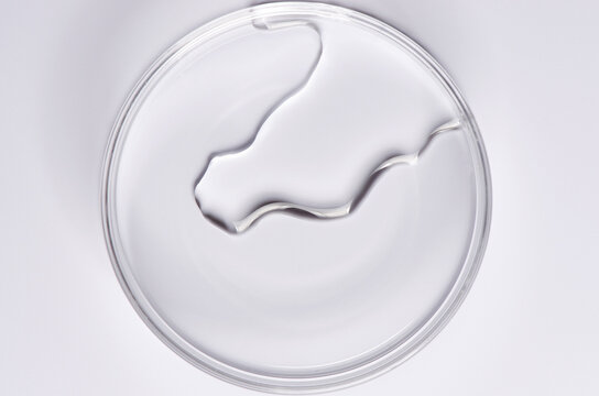 Testing a transparent cosmetic product in a Petri dish.