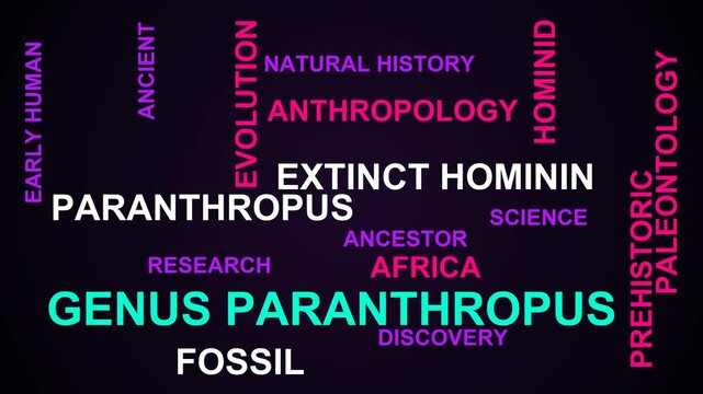 Genus Paranthropus Word Cloud