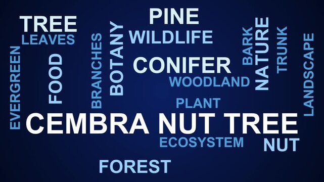 Cembra Nut Tree Word Cloud