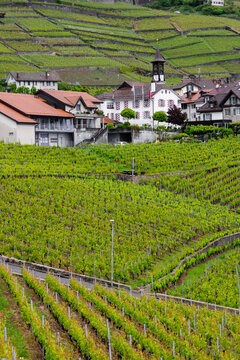 Lavaux vineyard terraces and Epesses village, Switzerland