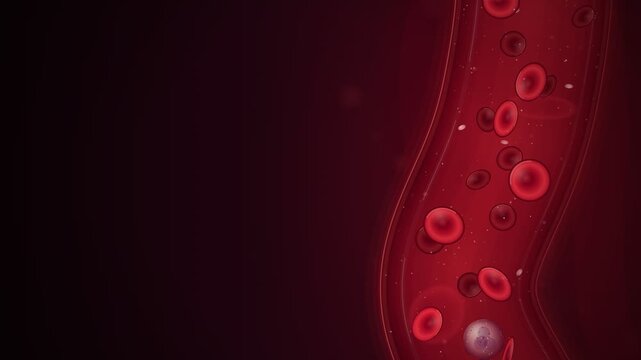 Red Blood Cells Flowing Through Translucent Blood Vessel
