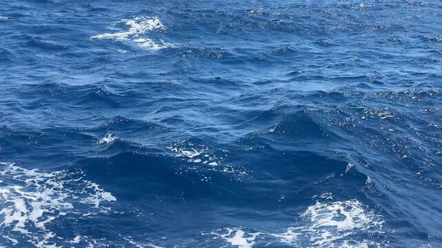 Sea Waves Rolling Gently Across the Blue Ocean Surface